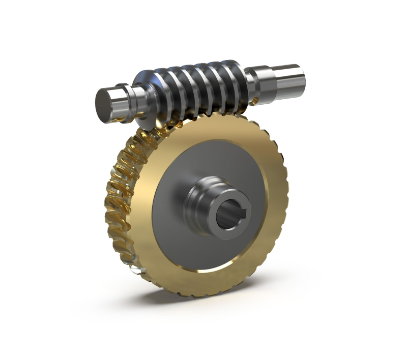 Worm Gear